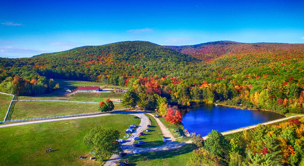 Aerial view of New England foliage and lake on a sunny day