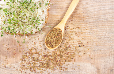 Fresh alfalfa sprouts and seeds - closeup. - 173429487