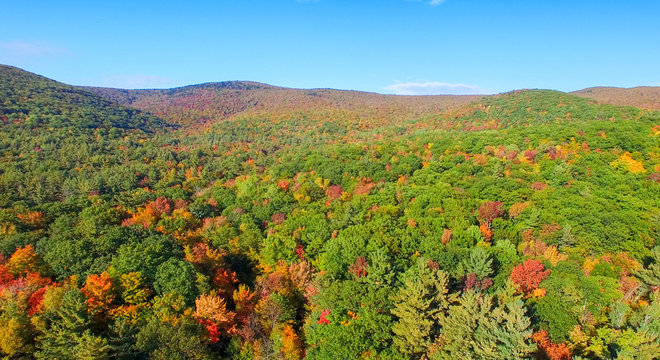 Aerial View Of New England Foliage On A Sunny Day