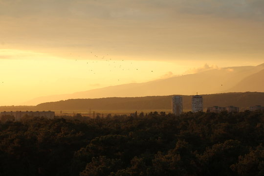 birds on the sunset background in mountain, Abkhazia, Pitsunda