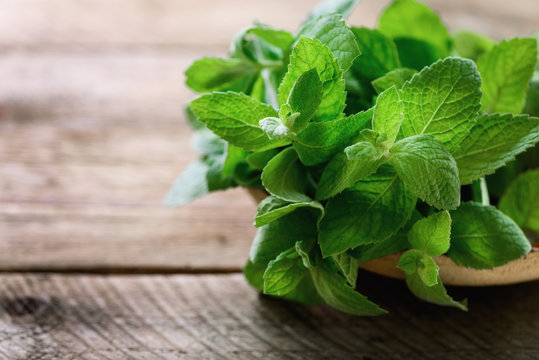 Fresh mint leaves on wooden background with copyspace and sunlights