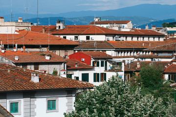 Orange roofs of the ancient part of Florence, Tuscany, Italy,
