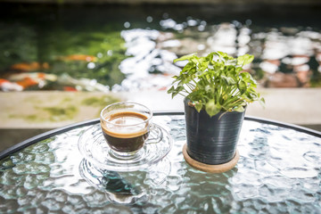 Hot coffee and small plant pot on the glass table.