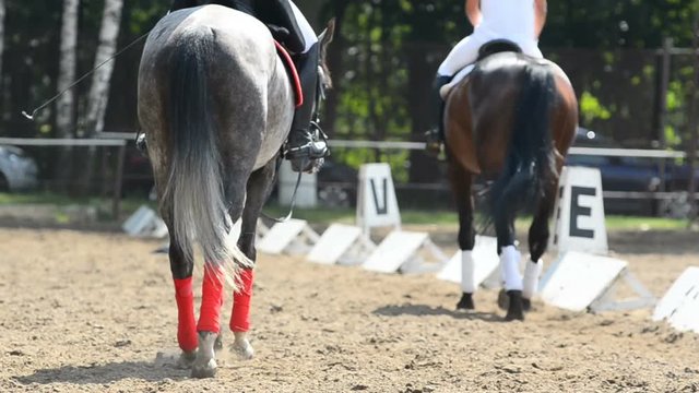 two riders on a parade