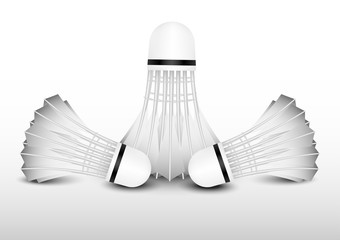 Fototapeta na wymiar White shuttlecock on white background, Sport object, vector EPS10
