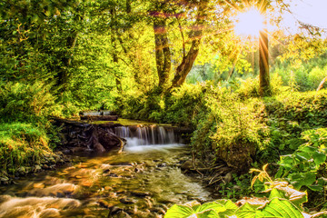 Waterfall in a forest is illuminated by the sunbeams