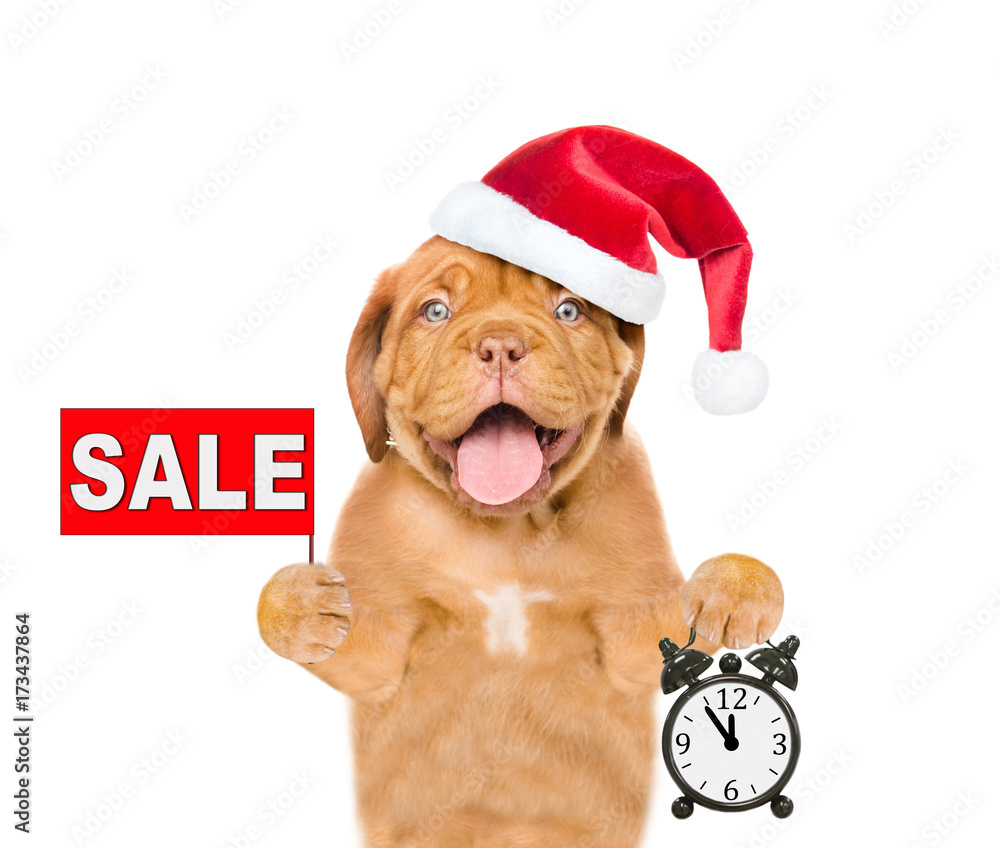 Poster funny puppy in red christmas hat with sales symbol showing alarm clock. isolated on white background