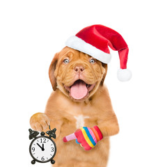 Funny puppy in red christmas hat showing alarm clock. Space for text. isolated on white background