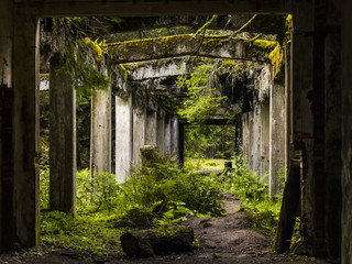 Old dirty broken ruined abandoned building among Bog, Facade ruins of industrial factory. Alley way with moss illuminated by sunlights.