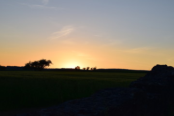 Obraz premium Sonnenuntergang 