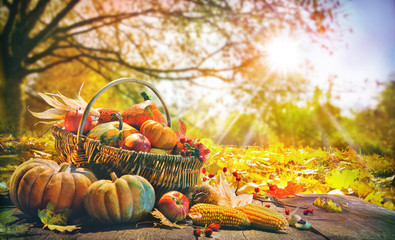 Thanksgiving background with pumpkins - obrazy, fototapety, plakaty