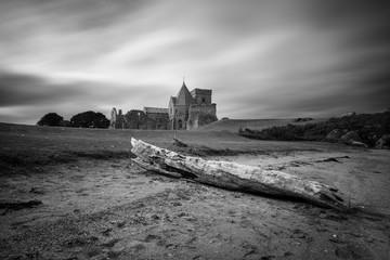 Inchcolm Driftwood