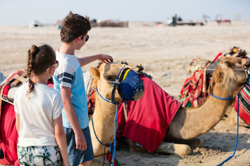 Kids with camels at desert - obrazy, fototapety, plakaty