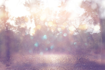 abstract photo of light burst among trees and glitter bokeh lights. image is blurred and filtered