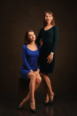 Portrait of two lovely sisters