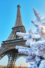 Christmas tree covered with snow near the Eiffel tower in Paris