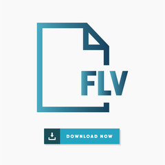 Flv file vector icon