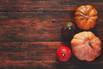 Pumpkins on red wood background with copy space