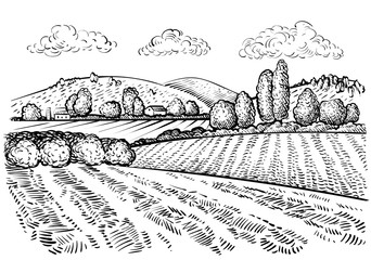 Rural landscape, handdrawn inked sketch style illustration. Hand draw illustration of outdoor natural scenic. Agricultural farm and field. Vector monochrome outline image