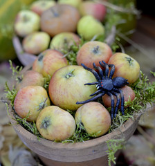 Halloween Dekoration