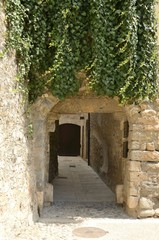 Ivy on medieval arch gate in Besalu, Spain