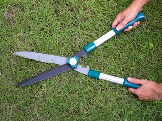 Fototapeta premium Cutting grass with scissors