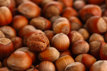 Hazelnuts. Food background, photo wallpaper.