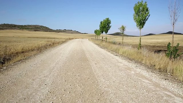 summer landscape with a dirt road next to Itero de la Vega, province of Palencia, Spain