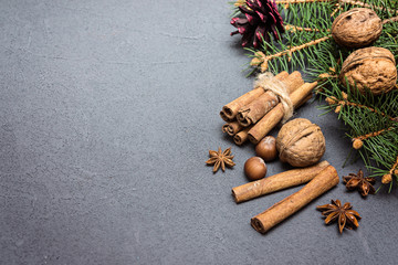 Merry Christmas background with  green pine branches and nuts on dark background