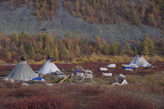 The camp of Nenets reindeer herders. Polar Urals. The Republic Of Komi. Russia.