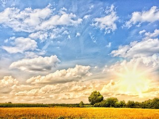 L&auml;ndliche Landschaft im Sommer
