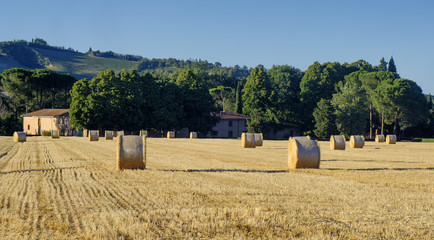 Landscape between Riolo Terme and Brisighella (Emilia Romagna)