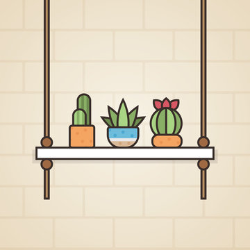 House plant cactus indoor with shelf and rope