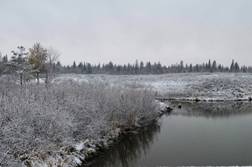 Первый снег на реке в октябре, деревья в снегу, природа Сибири