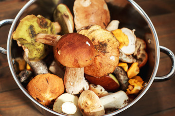 forest mushrooms in a basket on a wooden background