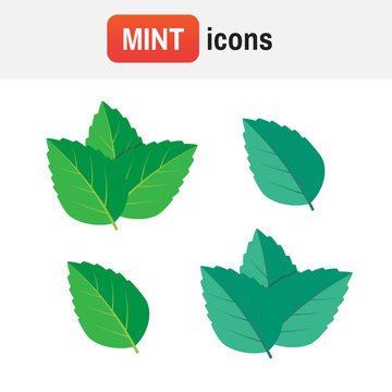 mint leaf icon. Mint green vector illustration set. Mint logo vector