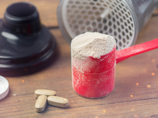 the whey protein in scoop