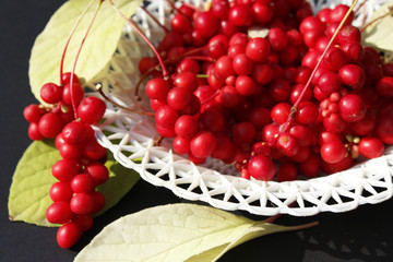 schizandra on the plate
