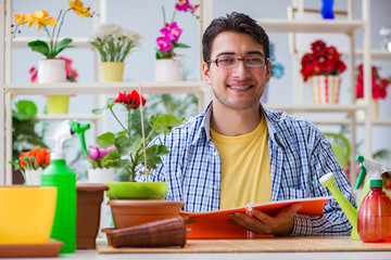 Young man florist working in a flower shop