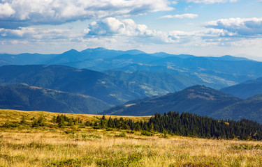 Nice carpathian landscape