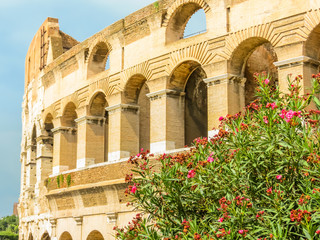 Obraz premium Roman Colosseum, the most known sight of Rome