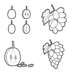 Grape Vector Illustration Hand Drawn Fruit Cartoon Art