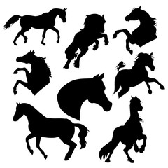 Silhouette horse on white background, vector illustration set