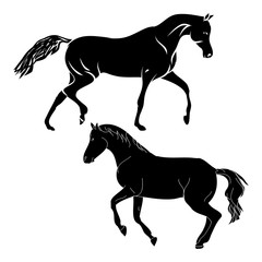 Silhouette horse on white background, vector illustration