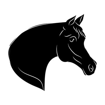 Silhouette horse on white background, vector illustration