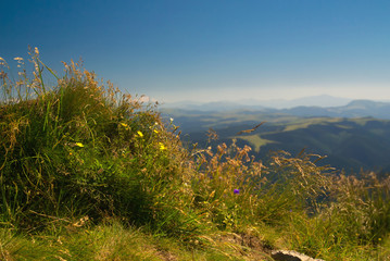 Obraz premium Carpathians nature