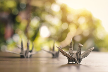 Close up dollar bird on wood table leader concept, color vintage style ,selective and soft focus