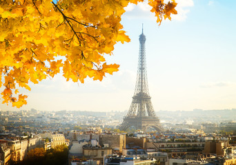 Fototapeta na wymiar eiffel tour and Paris cityscape in sunny autumn day, France