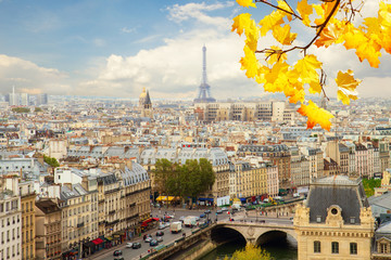 Fototapety  panoramę Paryża z błękitnym niebem i jesienną gałęzią drzewa, Francja