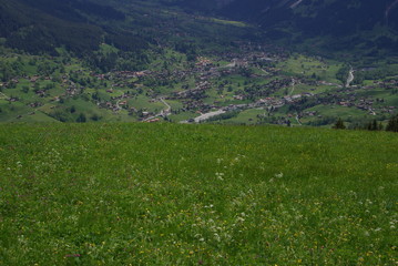 Obraz premium グリンデルワルトへのハイキング